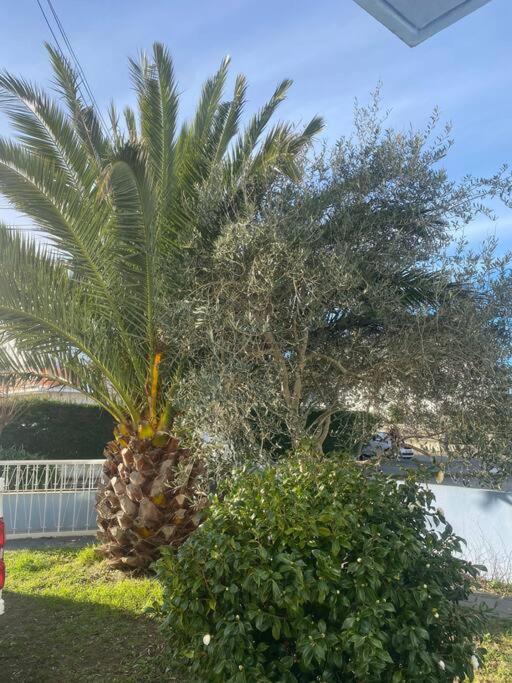 Apartment Au Pied Des Plages ! Larmor-Plage